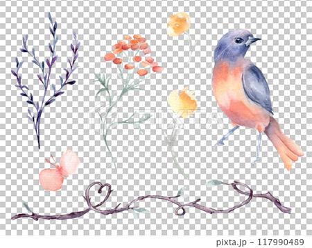Bird orange and purple, vine branch form heart hand drawn watercolor isolated set. Bluebird, butterfly with flower and twig in botanical sketch hand drawn. Floral elements and bird for Valentine. 117990489