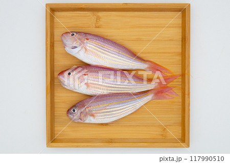 木製のトレーに並べられたカラフルな魚いとより 木製のトレーに並べられたカラフルな魚いとより 117990510