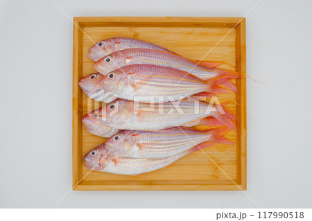 木製のトレーに並べられたカラフルな魚いとより 木製のトレーに並べられたカラフルな魚いとより 117990518