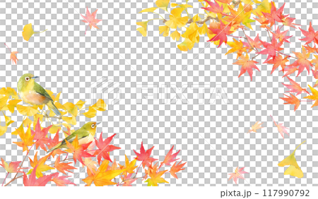 Watercolor illustration of autumn leaves of maple trees, ginkgo trees, and wild birds (Japanese white-eyes). A frame design with an autumn theme. Watercolor illustration of autumn leaves of maple trees, ginkgo trees, and wild birds (Japanese white-eyes). A frame design with an autumn theme. 117990792