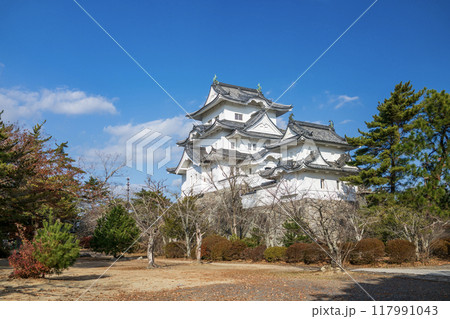 伊賀上野城 伊賀上野城 117991043