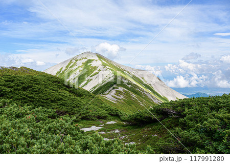 北アルプスの風景　蓮華岳 117991280