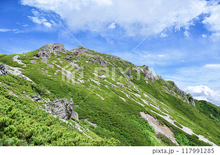 北アルプスの風景　蓮華岳 117991285