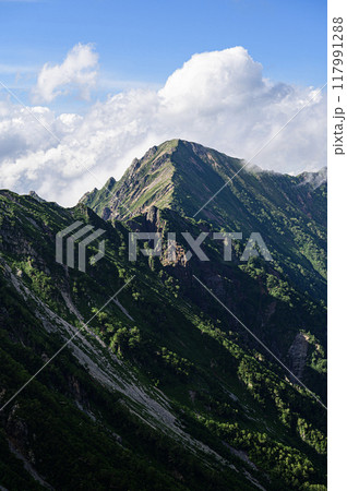 北アルプスの風景　赤沢岳 117991288