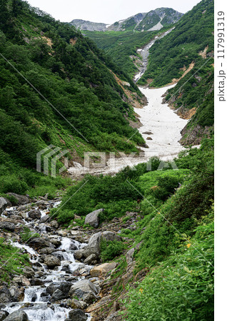 北アルプスの風景　針ノ木雪渓 117991319