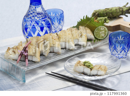 ウナギ白焼き ウナギ白焼き 117991360