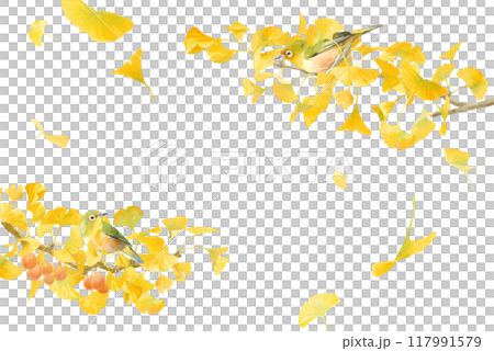 A watercolor illustration of yellow ginkgo trees and wild birds (Japanese white-eyes). The frame is decorated with ginkgo branches extending from both sides. A watercolor illustration of yellow ginkgo trees and wild birds (Japanese white-eyes). The frame is decorated with ginkgo branches extending from both sides. 117991579