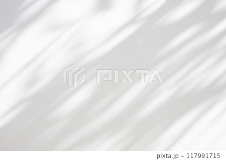Abstract natural tree leaves shadow on white wall background Abstract natural tree leaves shadow on white wall background 117991715