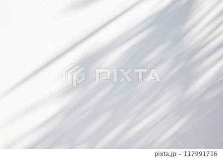 Abstract natural tree leaves shadow on white wall background Abstract natural tree leaves shadow on white wall background 117991716