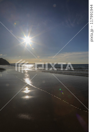 姉子の浜夕景 姉子の浜夕景 117991944
