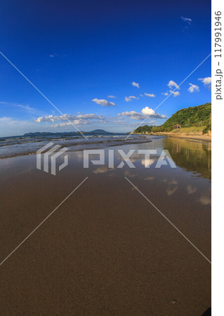 姉子の浜夕景 姉子の浜夕景 117991946