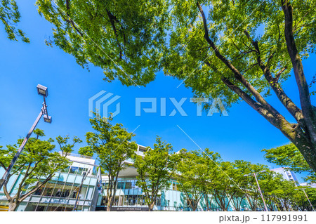 日本の東京都市景観 東京都渋谷区神宮前の表参道などを望む=8月3日 日本の東京都市景観 東京都渋谷区神宮前の表参道などを望む=8月3日 117991991