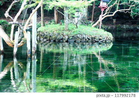 透き通る水面 透き通る水面 117992178