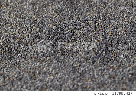 scattered poppy seeds for cooking scattered poppy seeds for cooking 117992427