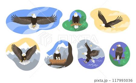 Eagle-themed vector illustration set 117993036