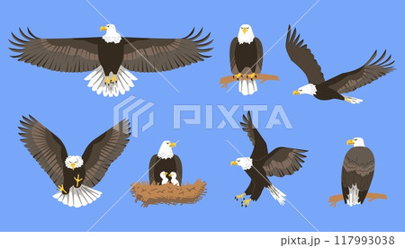 Vector illustrations on a blue background: a flying eagle, an eagle on a branch, a nest with chicks 117993038