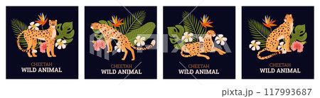 Tropical cheetah and flora vector set Tropical cheetah and flora vector set 117993687