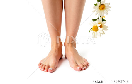 Female foot care and beauty with fresh daisies isolated on white background, pedicured toes in natural setting for wellness and personal grooming 117993708