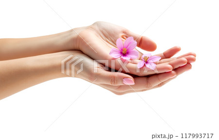 Handcrafted natural hand cream with pink blossoms. Organic skincare product for soft and smooth hands. Eco-friendly moisturizing lotion. Gentle care for dry skin. Perfect for daily use Handcrafted natural hand cream with pink blossoms. Organic skincare product for soft and smooth hands. Eco-friendly moisturizing lotion. Gentle care for dry skin. Perfect for daily use 117993717