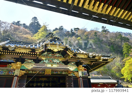 妙義神社　本社拝殿に唐門の庇 117993941