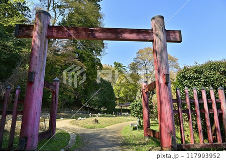 妙義神社　赤門 117993952