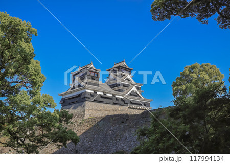 Kumamoto castle, Kumamoto Prefecture, Kyushu, Japan May 17 2024 117994134