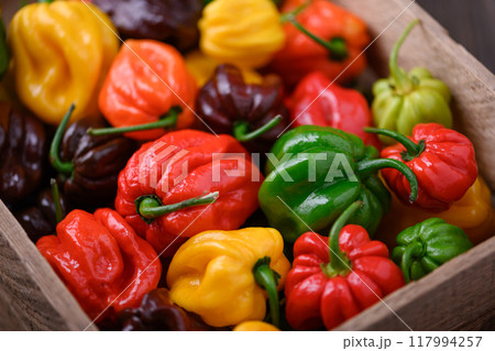 Ripened multi-colored habanero peppers in wooden box Ripened multi-colored habanero peppers in wooden box 117994257
