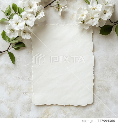 Elegant blank paper with white flowers Elegant blank paper with white flowers 117994360