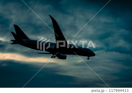 夕焼け空を飛ぶ旅客機 夕焼け空を飛ぶ旅客機 117994413