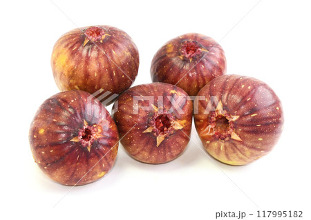 いちじく（越の雫） 117995182