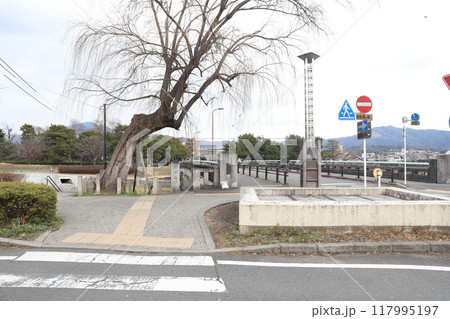 上賀茂神社　賀茂別雷神社　京都 117995197