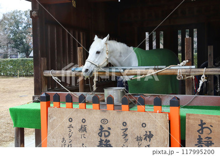 上賀茂神社 賀茂別雷神社 京都 上賀茂神社 賀茂別雷神社 京都 117995200