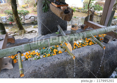 上賀茂神社　賀茂別雷神社　京都 117995201