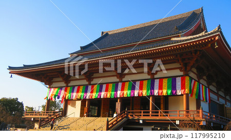西新井大師（東京都足立区）の風景 117995210