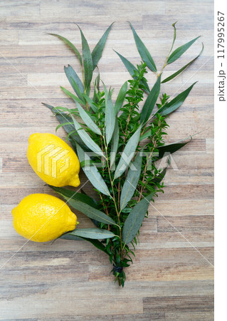 Happy Sukkot holiday 117995267