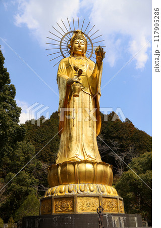 寶珠山 大観音寺　三重県津市 117995286