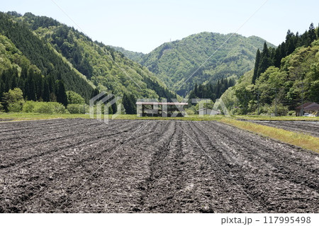 新緑の里山と畑、はざ（稲架）小屋のある風景 117995498