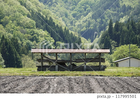 新緑の里山と畑、はざ（稲架）小屋のある風景 117995501