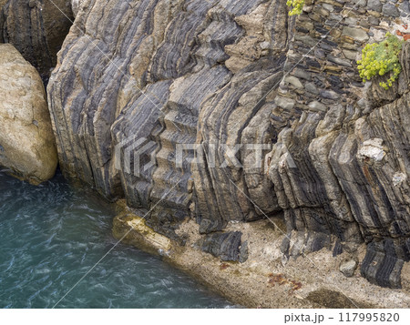 褶曲による垂直方向の層理が見られる海岸沿いの岩 117995820