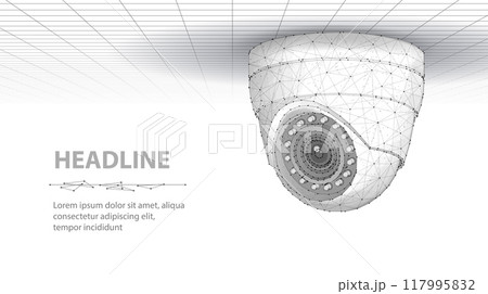 Dome security camera. Business monitoring, Camera surveillance, 117995832