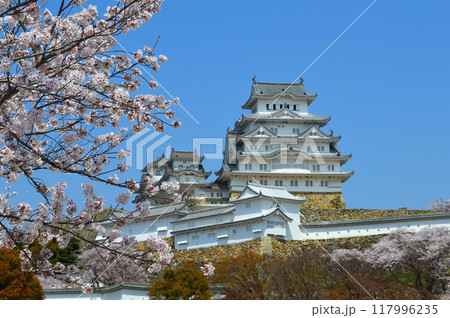 兵庫県の世界遺産 国宝姫路城天守と桜 兵庫県の世界遺産 国宝姫路城天守と桜 117996235