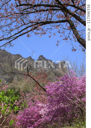 桜が満開の群馬県妙義山の風景 桜が満開の群馬県妙義山の風景 117996356