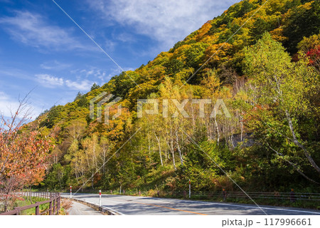 奥飛騨温泉郷「平湯温泉」の紅葉 奥飛騨温泉郷「平湯温泉」の紅葉 117996661