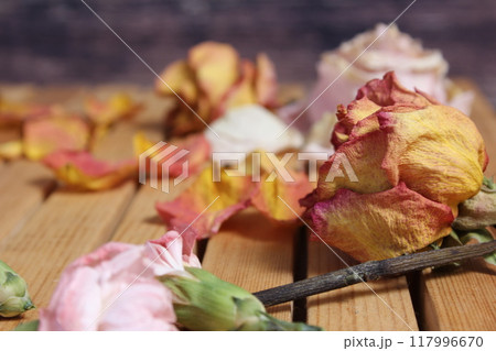 Old Flowers Drying on Wooden Table. Zinnias With Roses and Carnations Old Flowers Drying on Wooden Table. Zinnias With Roses and Carnations 117996670