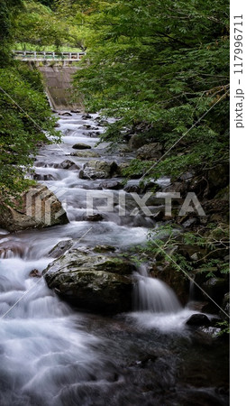 和歌山県「万歳の滝」付近の渓谷(日高郡日高川町寒川) 117996711