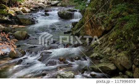 和歌山県「万歳の滝」付近の渓谷（日高郡日高川町寒川） 117996859