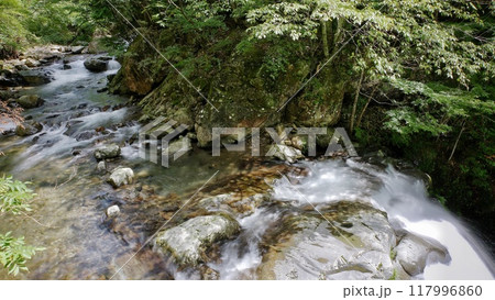 和歌山県「万歳の滝」付近の渓谷（日高郡日高川町寒川） 117996860