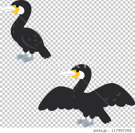 鸕鶿站立並展開翅膀 117997268