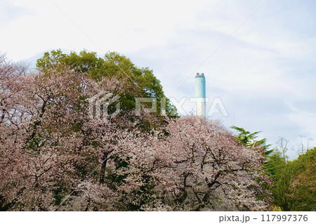 桜の木と煙突が見える風景 桜の木と煙突が見える風景 117997376