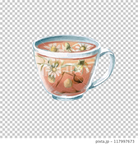 Transparent glass mug with chamomile tea inside in watercolor. Isolated illustration in realistic style for design of restaurant menus, cafes, tea shops, cookbooks. Tea ceremony Transparent glass mug with chamomile tea inside in watercolor. Isolated illustration in realistic style for design of restaurant menus, cafes, tea shops, cookbooks. Tea ceremony 117997673